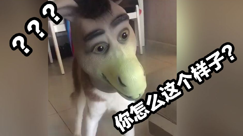 沙雕动物配音:你这是啥玩意???